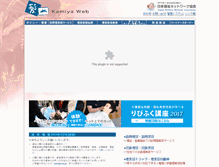 Tablet Screenshot of kamiya.or.jp